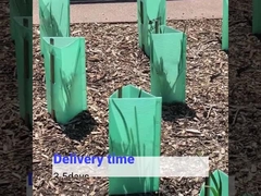 Plastik Ağaç Koruma