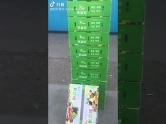 Meyve ve sebze kutusu