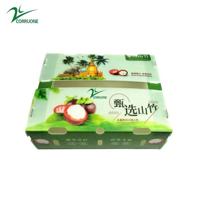 Ekoloji dostu, brokoli ve mısır için kurutulmuş plastik kutuları özelleştir Correx mısır brokoli ve tarım paketleri