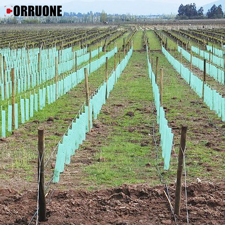 Ucuz plastik bal çekirdeği plaka genç ağaçları etkili bir şekilde koruyan pp dalgalanmış plastik plaka koruyucu