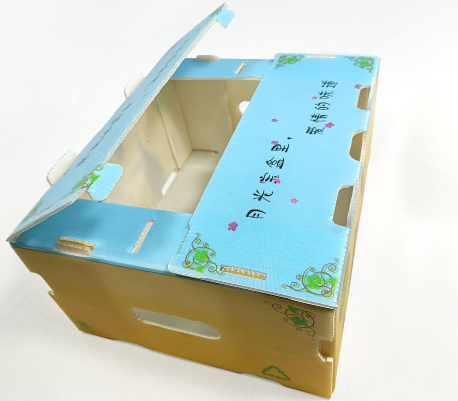 Ispanak Oluklu Plastik Üretim Kutuları 2mm Corflute Saklama Kutuları