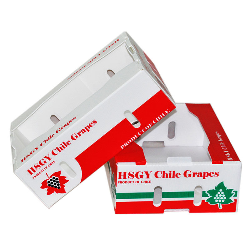 Mısır Corflute Box Sebze Oluklu Kutular Geri Dönüştürülebilir Özel Boyut