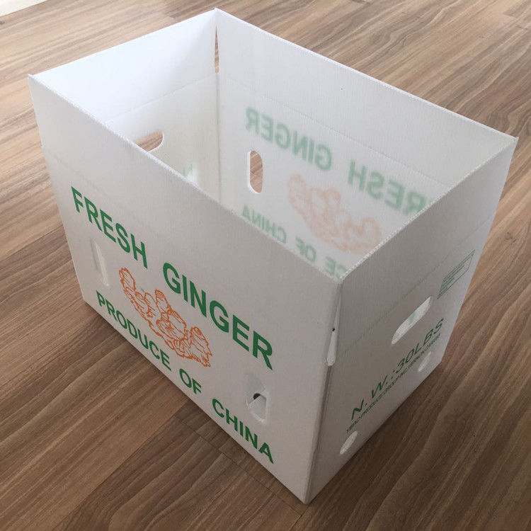 Meyve Sebze Paketleme PP KartonPlast Üzüm Paketleme KutularıPlastik Brokoli KutularıGinger Yaprakları