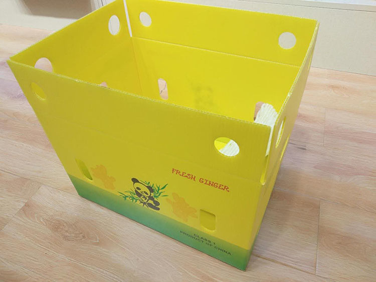 Meyve Paketleme için 3.5mm Mango Oluklu Kutu Kartonplast Oluklu Kutular