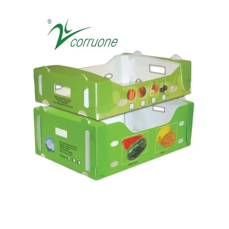Corruone PP polipropilen danpla plastik kutu Correx koruyucu karton poliflüt levhalar dalgalanmış plastik ambalaj kutuları