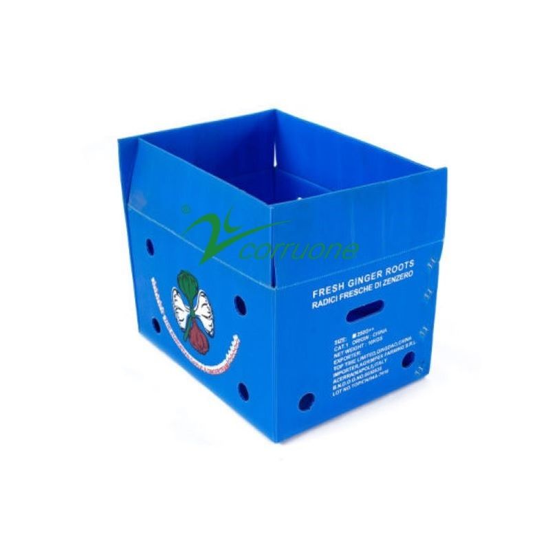Corruone su geçirmez Meyve Sebze Paketleme PP KartonPlast Üzüm Paketleme Kutuları Plastik Brokoli Kutuları Ginger kutuları