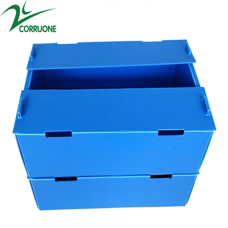 Corruone su geçirmez Meyve Sebze Paketleme PP KartonPlast Üzüm Paketleme Kutuları Plastik Brokoli Kutuları Ginger kutuları
