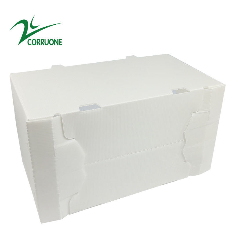 2mm-11mm İçi Boş Karton Coroplast Correx Katlanır Oluklu Plastik Kutular