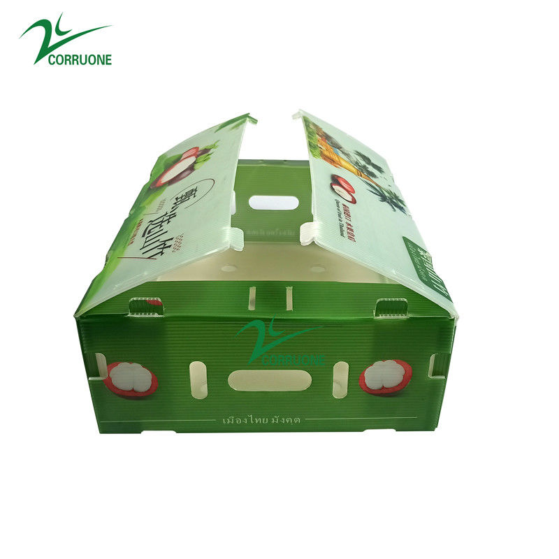 Toptan Custom Baskılı Katlanabilir Şeffaf Plastik Renkli Kare Ambalaj Kapaklı Meyve Kutuları