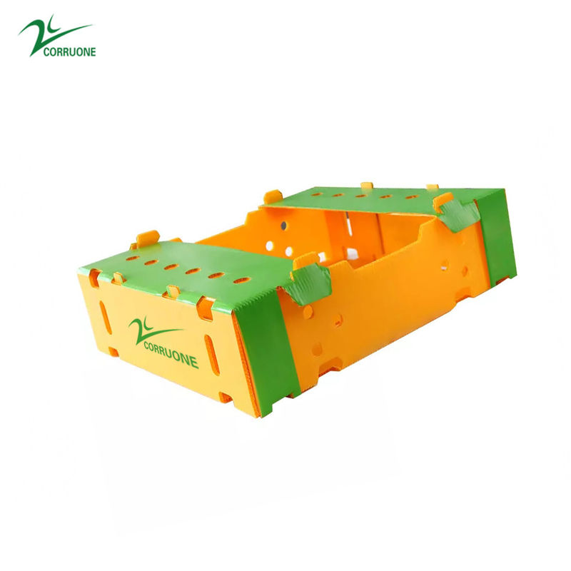 6mm 8mm Kuşkonmaz Correx Ambalaj Kutuları Mango Coroplast Saklama Kutuları