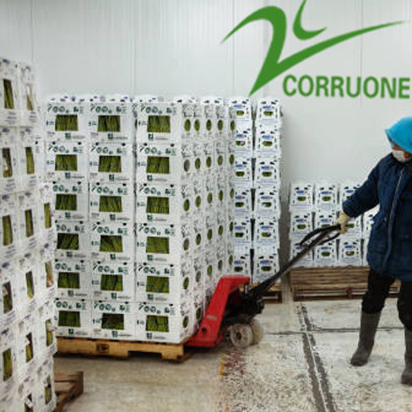 Siyah Corriflute Meyve Oluklu Kutular Oluklu Plastik Saklama Kapları