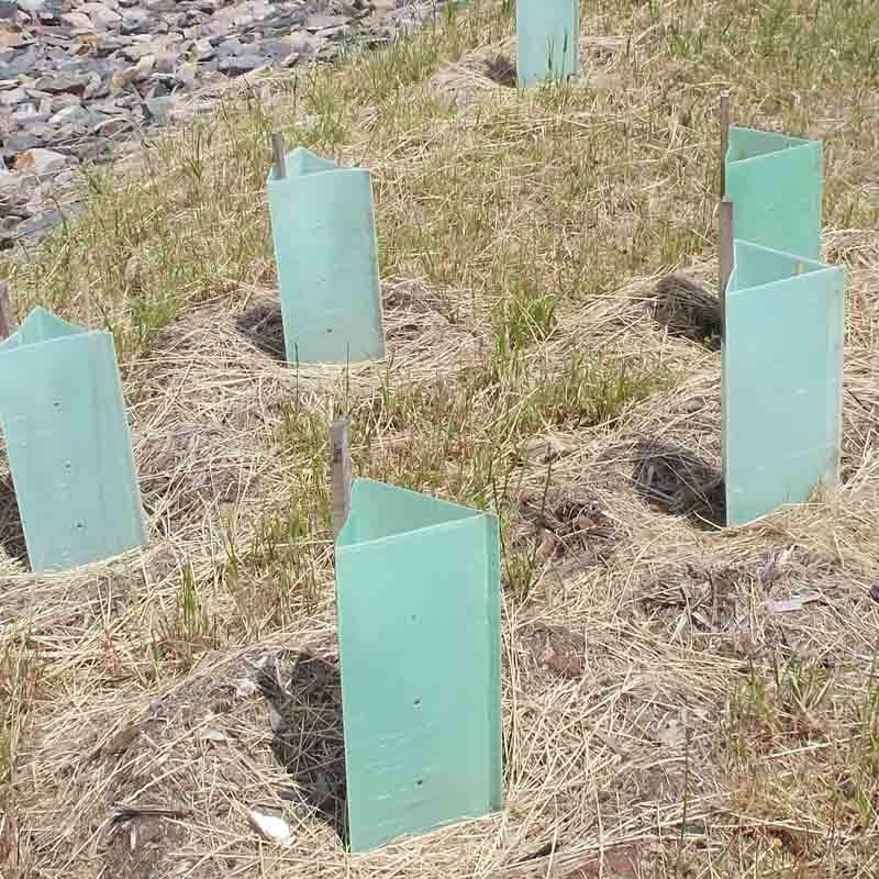 PP Oluklu Plastik Ağaç Koruyucu Corflute Plastik Ağaç Gövde Koruyucuları