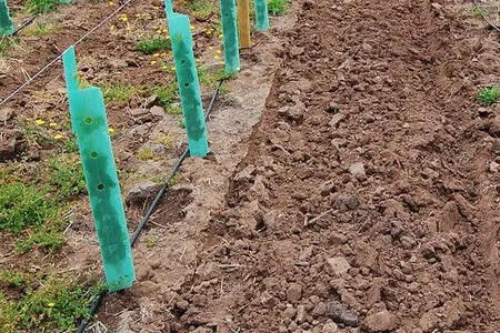 Koruma için PP malzemesinden yapılmış özel dalgalanmış plastik ağaç koruyucu