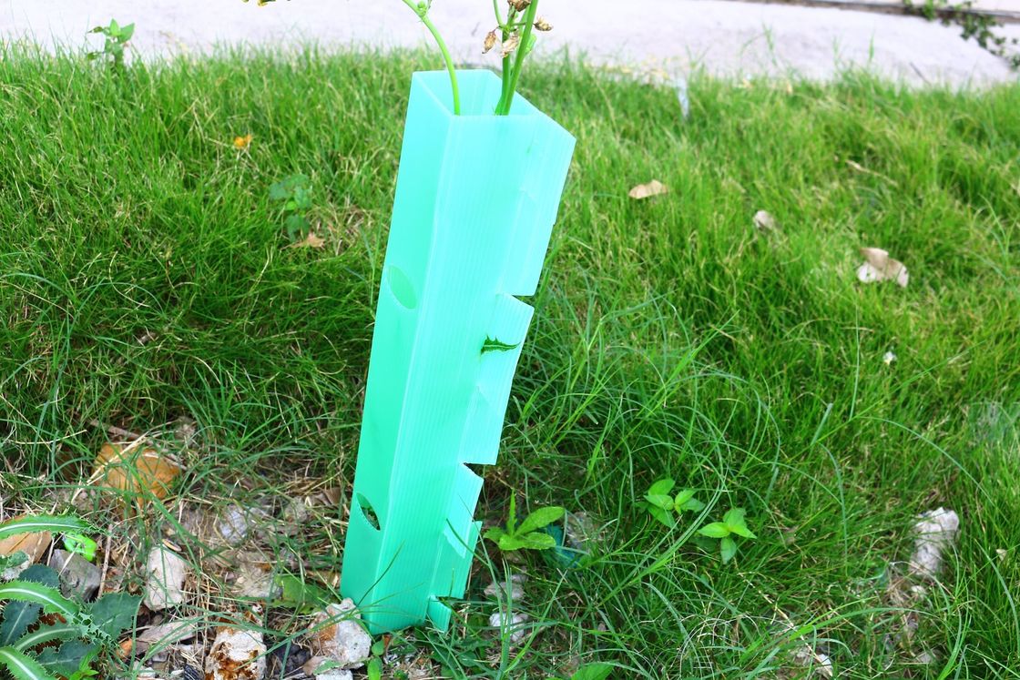 Koruma için PP malzemesinden yapılmış özel dalgalanmış plastik ağaç koruyucu