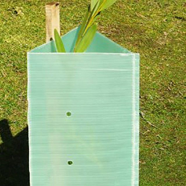 Corruone Polypropylene Plastik Dalgalanmış Rulo Dalgalanmış Plastik Ağaç Koruyucuları