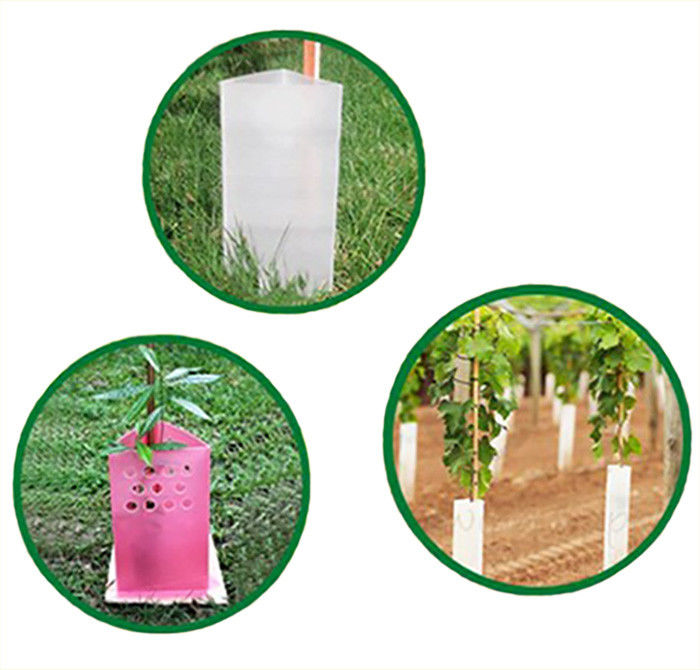 Corruone Polypropylene Plastik Dalgalanmış Rulo Dalgalanmış Plastik Ağaç Koruyucuları