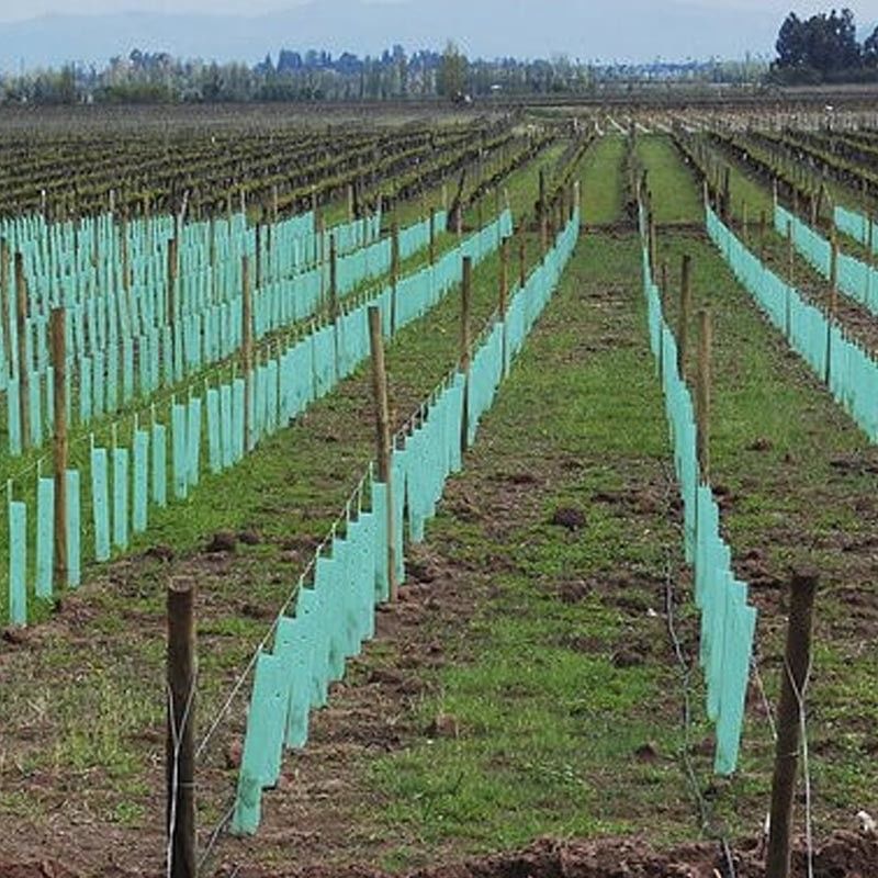 Corruone Polypropylene Plastik Dalgalanmış Rulo Dalgalanmış Plastik Ağaç Koruyucuları
