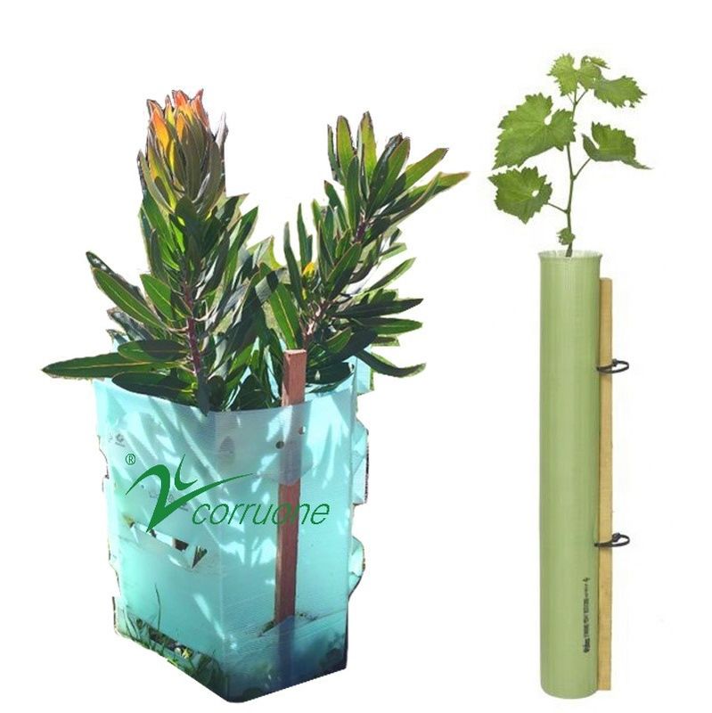 Kırmızı 100% PE Corflute Plastik Ağaç Koruyucular UV Dayanımlı 2mm-12mm