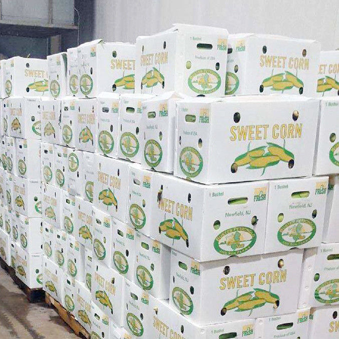 Katlanabilir Sıcak Satış Ürünü Ekolojik Dostluklu Dayanıklı Koruyucu Yaprak Plastik sebze ve meyve kutusu